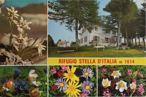 Stella d'Italia (Rifugio)