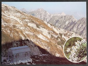 Forcella Lasté (Bivacco)