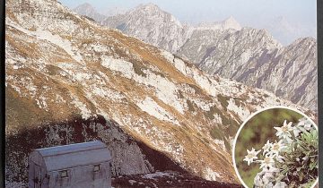Forcella Lasté (Bivacco)