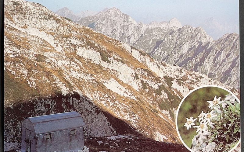 Forcella Lasté (Bivacco)